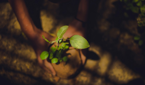 How Flygreen contributes to a greener future